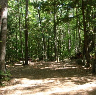 RV Sites